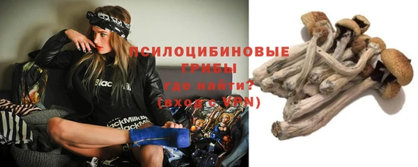 метамфетамин Богородицк